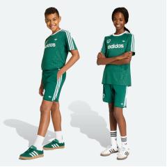 Adidas Ensemble Disney jersey vert